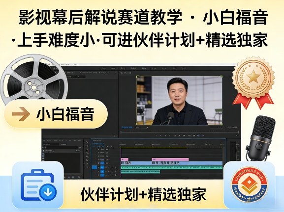 某大佬的影视幕后解说赛道教学，小白福音，上手难度小，可进伙伴计划+精选独家-chywc