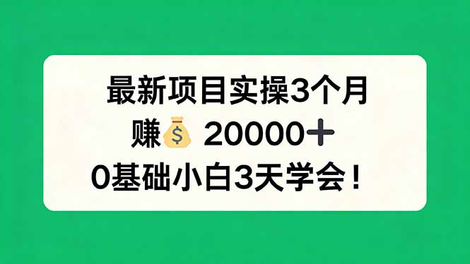 最新项目实操3个月，赚钱20000+，0基础小白3天学会！-chywc