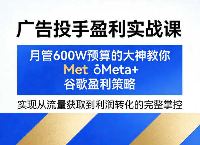 广告投手盈利实战课，月管600W预算的大神教你Meta+谷歌盈利策略，实现从流量获取到利润转化的完整掌控-chywc