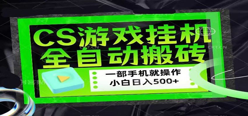 CSGO游戏挂机捡漏搬砖，超稳定的项目，带领1000+小白实现日入500+-chywc