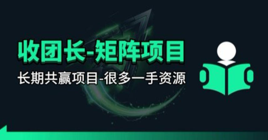 【团长合作】视频矩阵项目_招发手矩阵+剪辑师，共赢项目【揭秘】-chywc