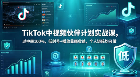 TikTok中视频伙伴计划实战课，过中率100%，低封号+播放量賺收益，个人矩阵均可做-chywc