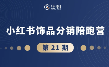 盗坤·抖音小红书视频号短视频带货与直播变现(11-21期)【更新】-chywc