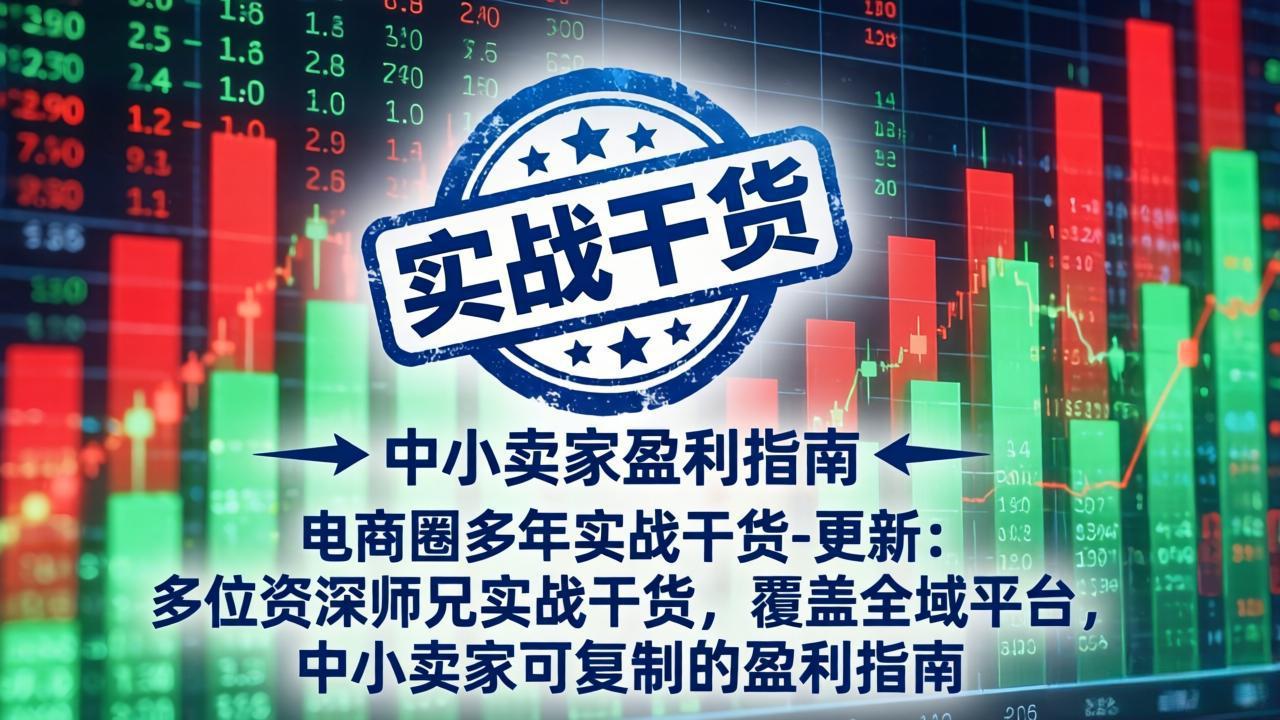 电商圈多年实战干货-更新5月10：多位资深师兄实战干货/覆盖全域平台，中小卖家可复制的盈利指南-chywc