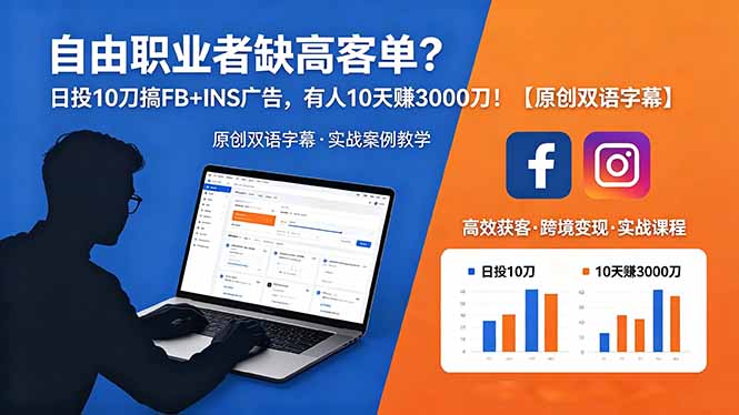 自由职业者缺高客单？日投 10 刀搞 FB+INS 广告，有人 10 天赚 3000 刀！【原创双语字幕】-chywc
