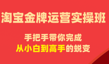 飓风电商·淘宝金牌运营实操班-chywc