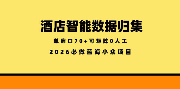 酒店智能数据归集，小众蓝海已经稳定半年之久，单窗口70+零成本矩阵开干【揭秘】-chywc