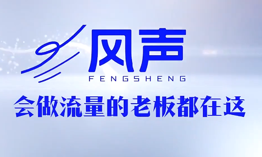 董十一·风声短视频AI获客年度会员-chywc