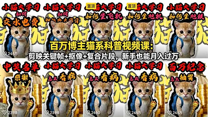 百万博主猫系科普视频课：剪映关键帧+抠像+复合片段，新手也能月入过万-chywc
