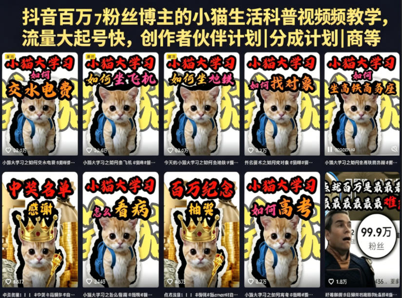 抖音百万粉丝博主的小猫生活科普视频教学，流量大起号快，创作者伙伴计划|分成计划|商单|收徒等-chywc