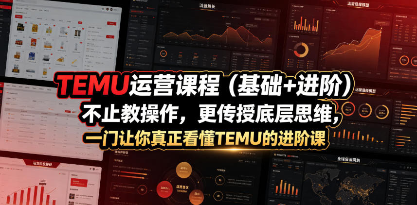TEMU运营课程(基础+进阶)，不止教操作，更传授底层思维，一门让你真正看懂TEMU的进阶课-chywc