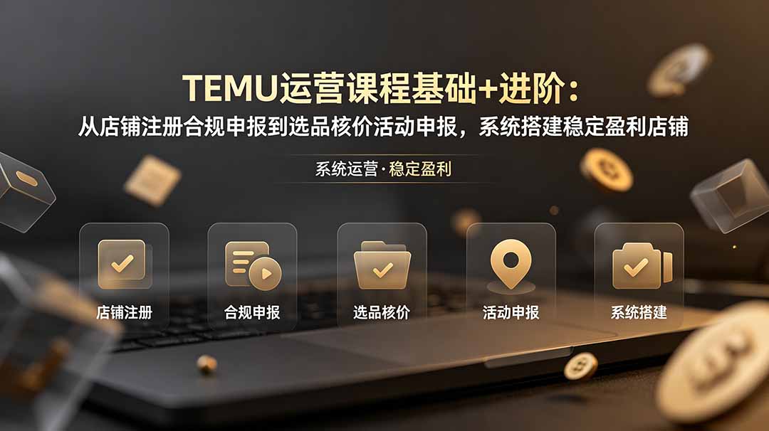 TEMU运营课程(基础+进阶-chywc
