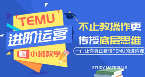 阿卡林·TEMU运营课程(基础+进阶)-chywc