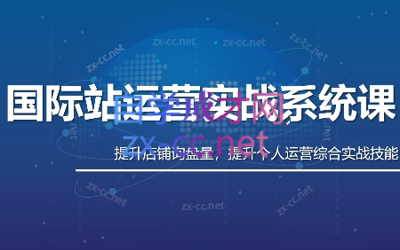 白老师·国际站运营实战系统(高质量询盘增长课)(更新)-chywc