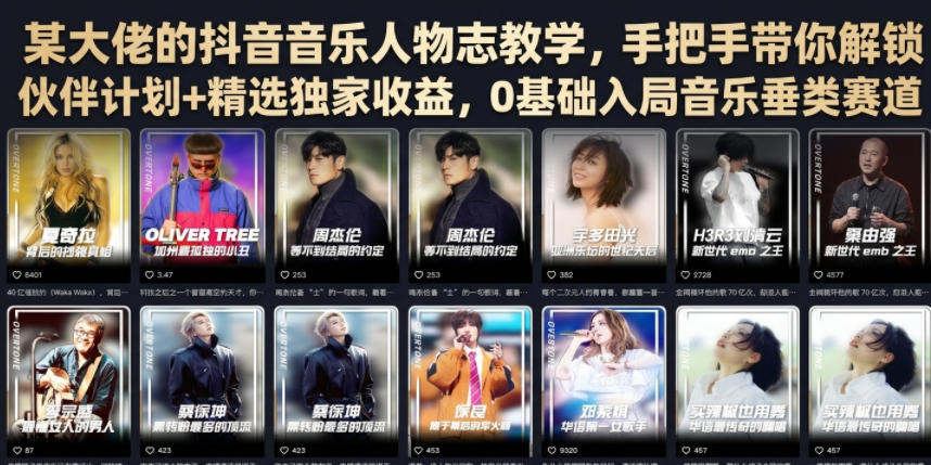 某大佬的抖音音乐人物志教学，手把手带你解锁伙伴计划+精选独家收益，0基础入局音乐垂类赛道-chywc