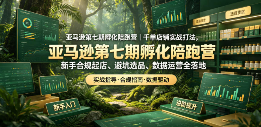 亚马逊孵化陪跑营｜千单店铺实战打法，新手合规起店、避坑选品、数据运营全落地(更新0708)-chywc