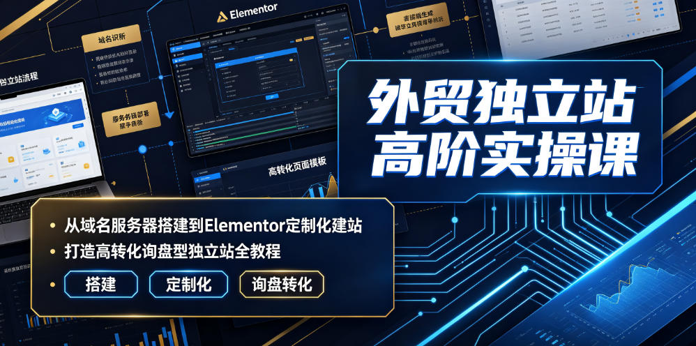 外贸独立站高阶实操课｜从域名服务器搭建到Elementor定制化建站，打造高转化询盘型独立站全教程-chywc